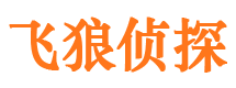 琼中市私人侦探